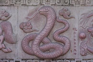 《拳皇15》DLC新角色希尔薇·波拉·波拉公开 5月16日上线